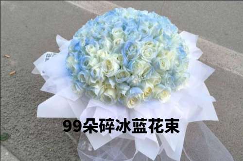 ǭݶɽػ